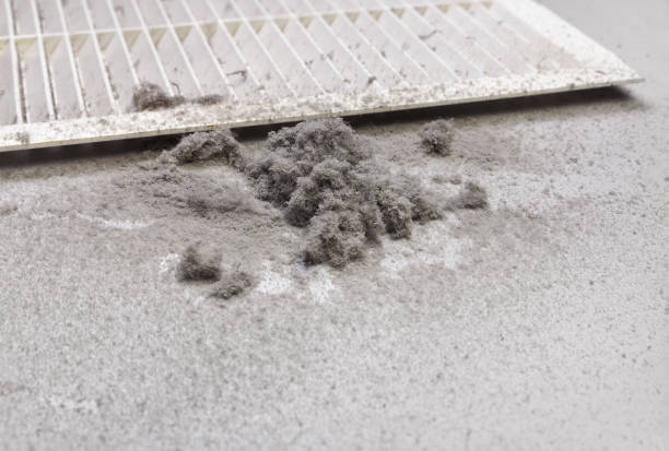 Best Affordable Air Duct Cleaning  in Colfax, LA