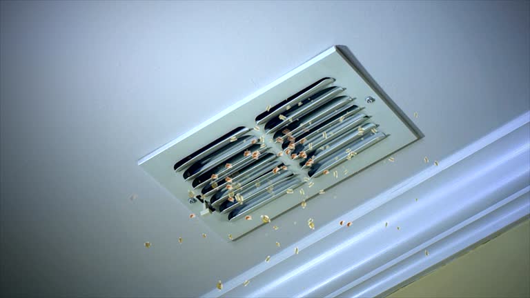 Best Commercial Air Duct Cleaning  in Colfax, LA